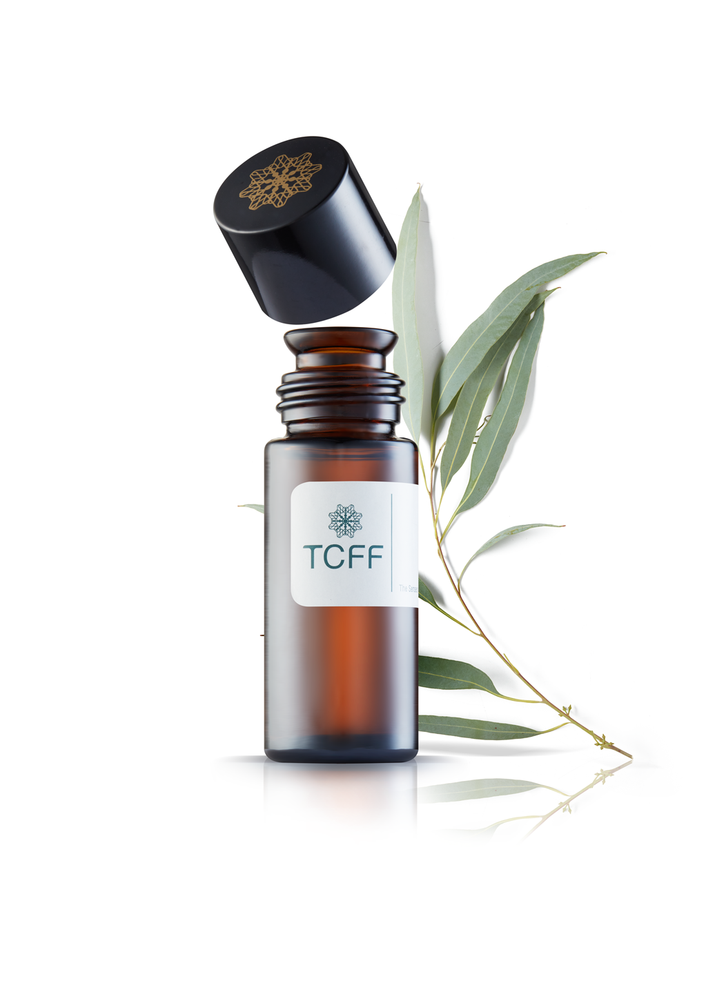 Eucalyptus Oil