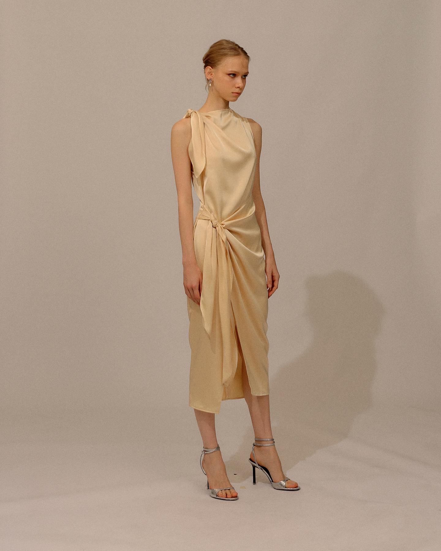 Cosmos Dress (New Color)