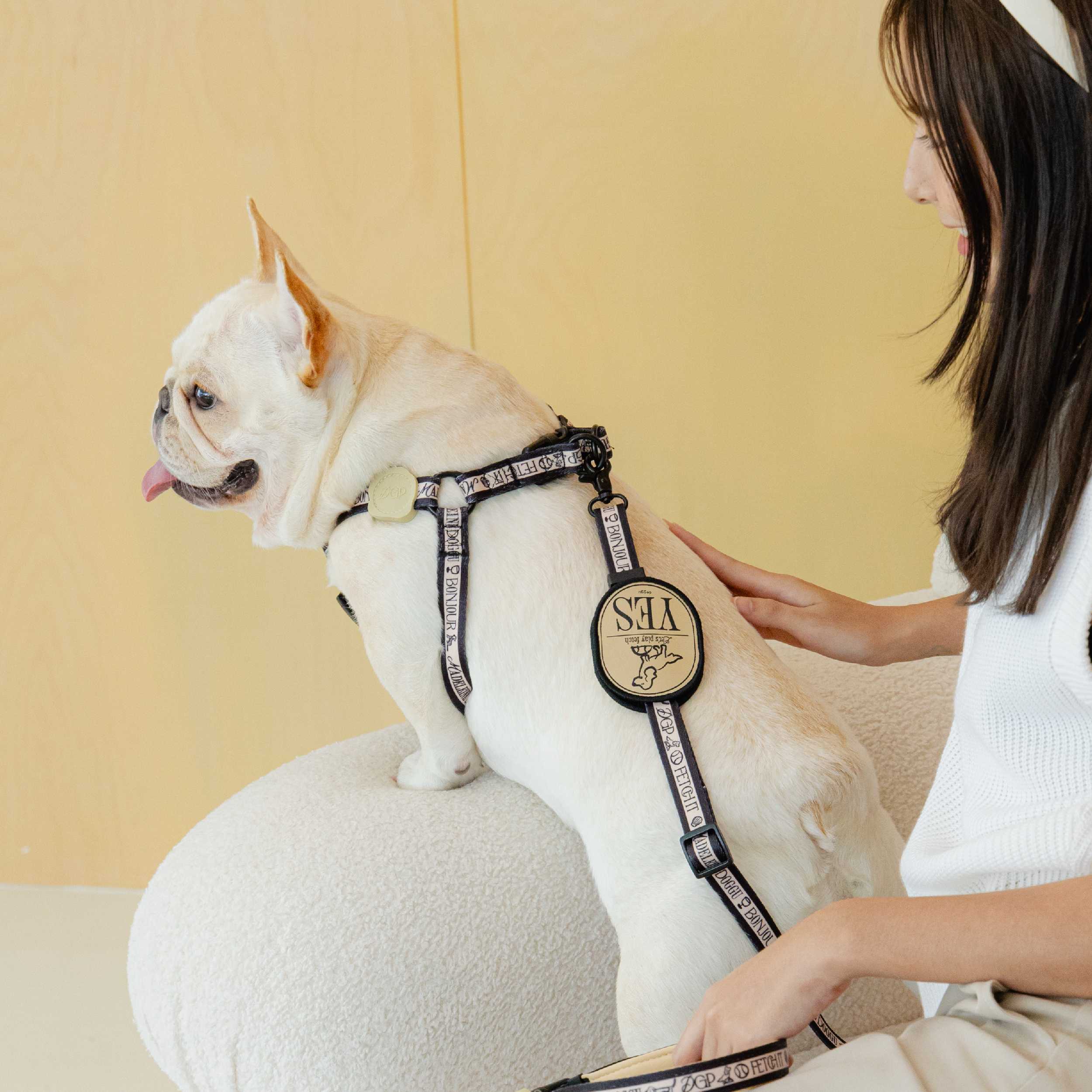 พร้อมส่ง Madeleine Collection Harness and Leash SET