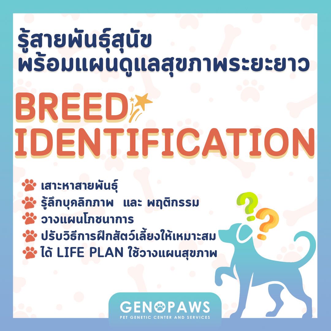 [GENOPAWS: DNA Test Kit] Breed Identification รู้สายพันธุ์สุนัขพร้อมแผนดูแลสุขภาพระยะยาว