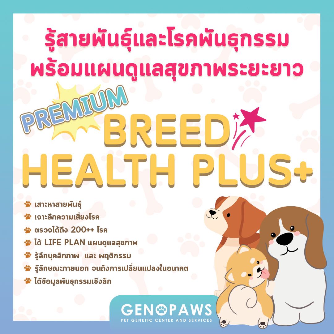 [GENOPAWS: DNA Test Kit] Breed Health Plus+ รู้สายพันธุ์และโรคพันธุกรรมในสุนัขทั้งหมด