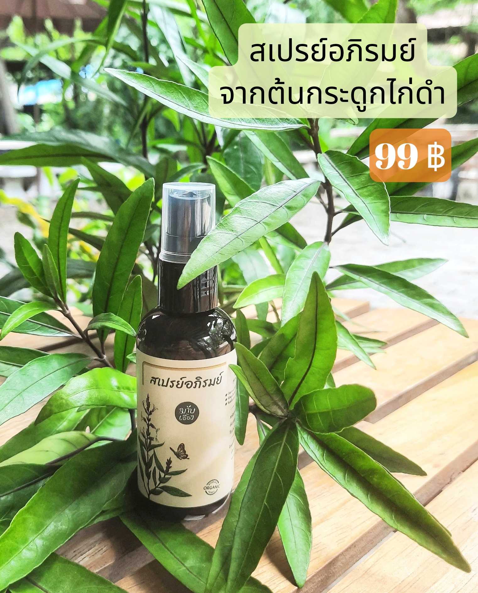 สเปรย์กระดูกไก่ดำอภิรมย์