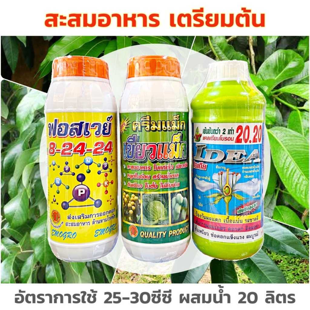 ชุดสะสมอาหาร เตรียมต้น ไอเดียแคลเซียม-โบรอน 20.20+เขียวแม็กซ์+ปุ๋ยน้ำฟอสเวย์ 8-24-24 ขนาด 1 ลิตร