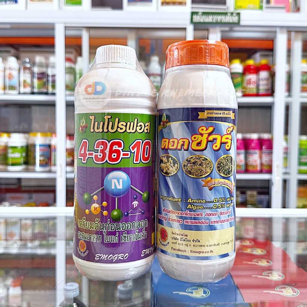 ปุ๋ยน้ำ (ชุด 2 ขวด) ปุ๋ยน้ำ 4-36-10 ขนาด1ลิตร สูตรเตรียมต้นก่อนออกดอก+ดอกชัวร์เบสฟอร์+ดอกชัวร์