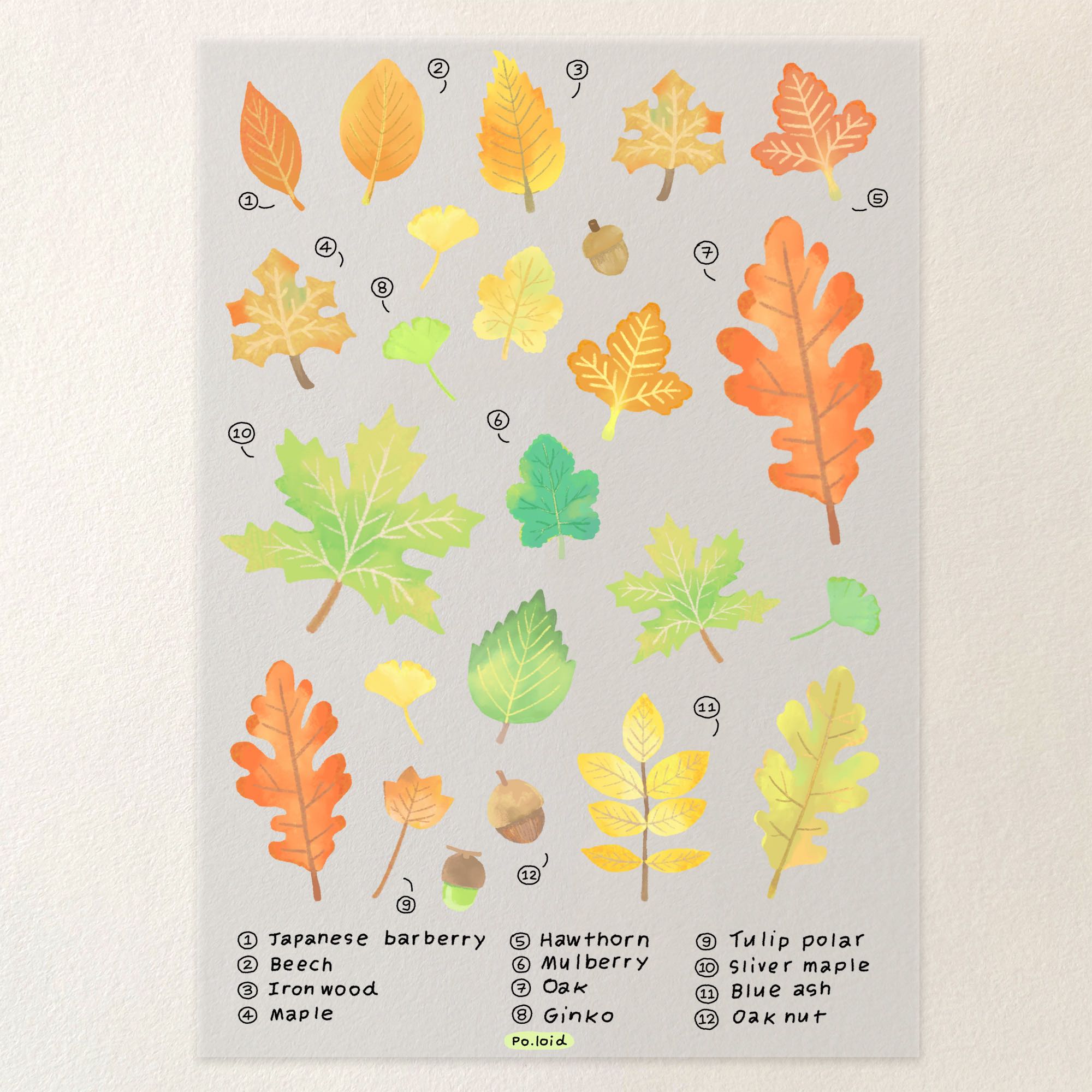 Fall leaves sticker