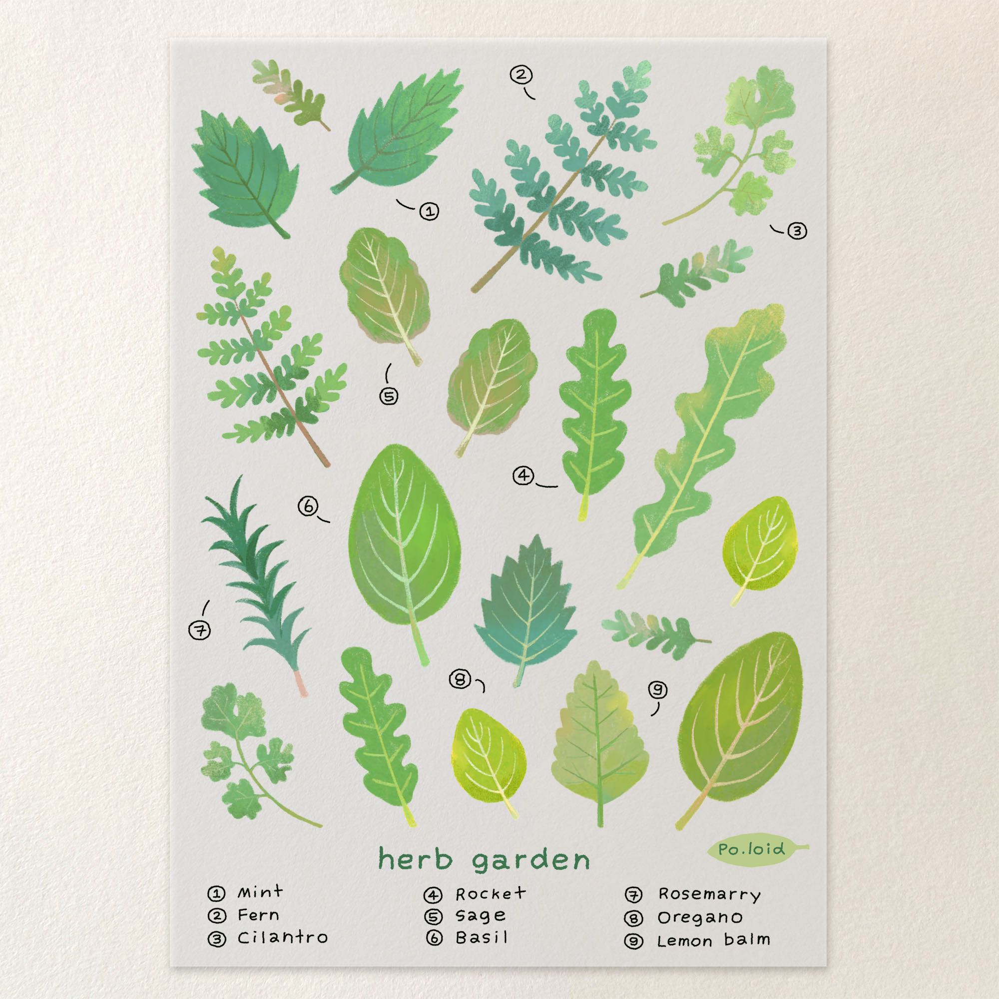 Herb garden sticker