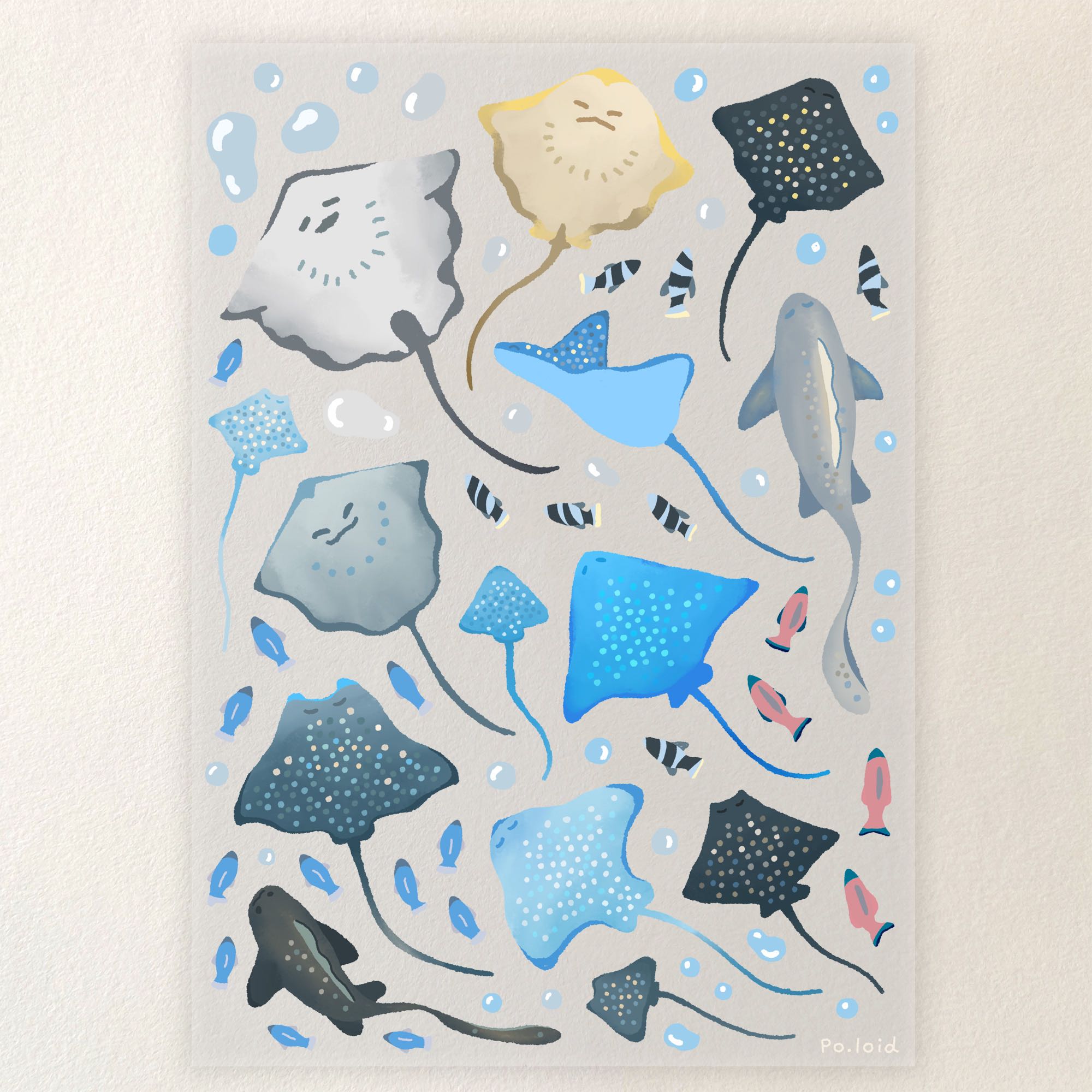 Manta sticker