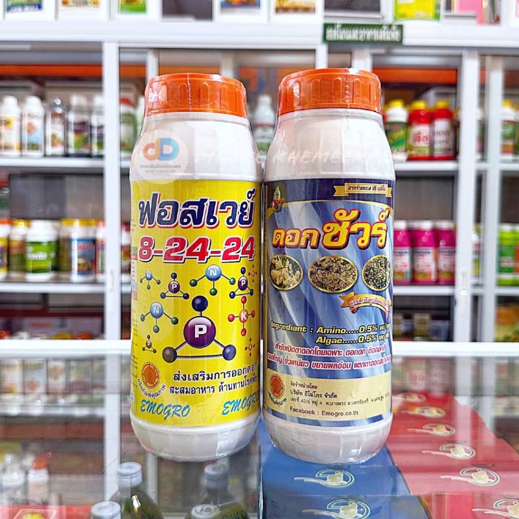 ปุ๋ยน้ำ (ชุด 2 ขวด) ปุ๋ยน้ำ 8-24-24 ขนาด 1 ลิตร  เบสฟอร์+ดอกชัวร์ ขนาด 1 ลิตร