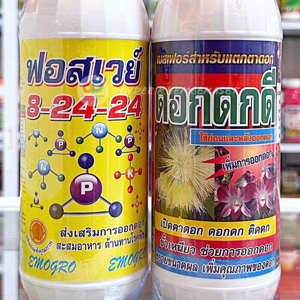 ปุ๋ยน้ำ (ชุด2ขวด) 8-24-24 ส่งเสริมการออกดอก ลดการหลุดร่วง+ดอกดกดี เบสฟอร์+ อาหารเสริม