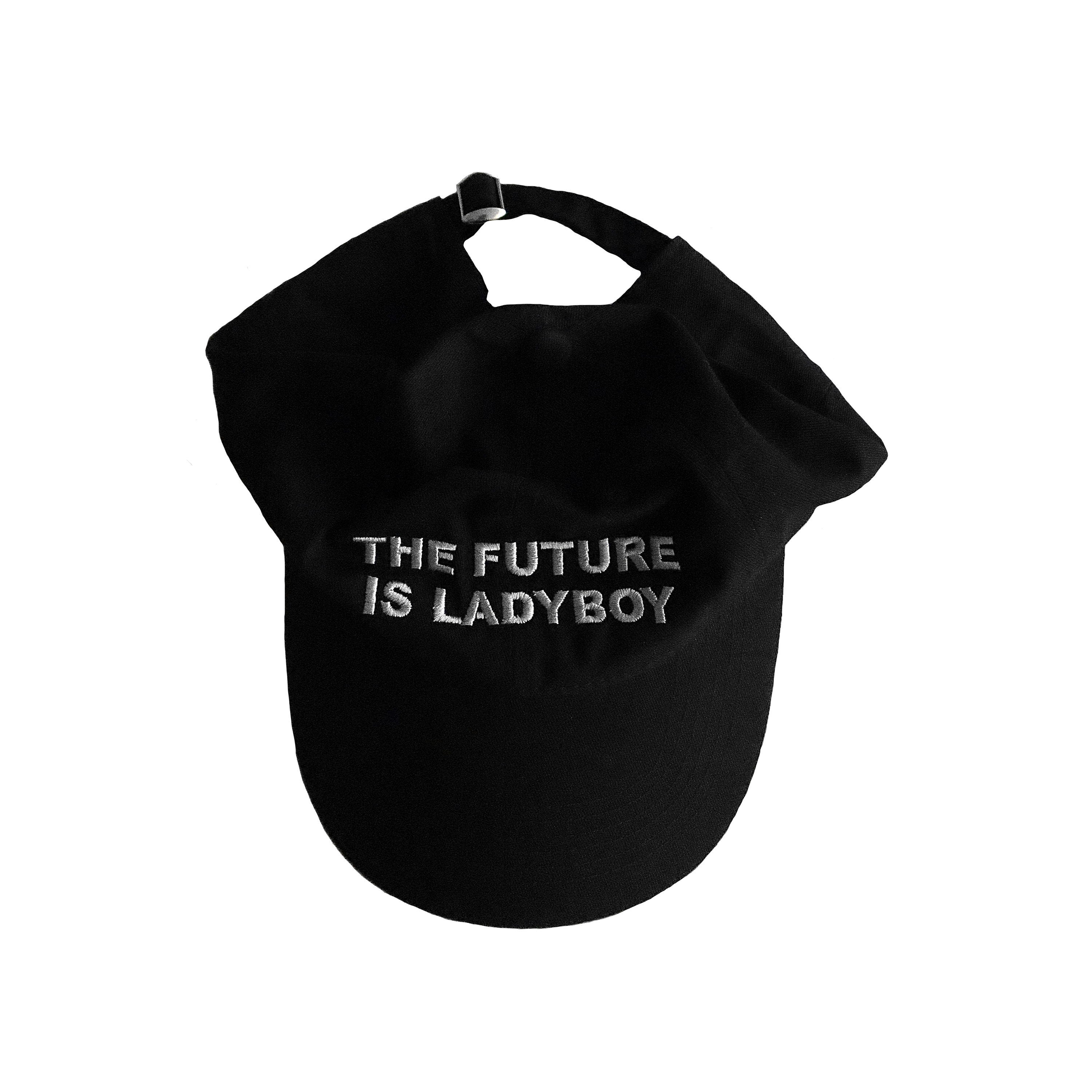 The Future is Ladyboy Cap