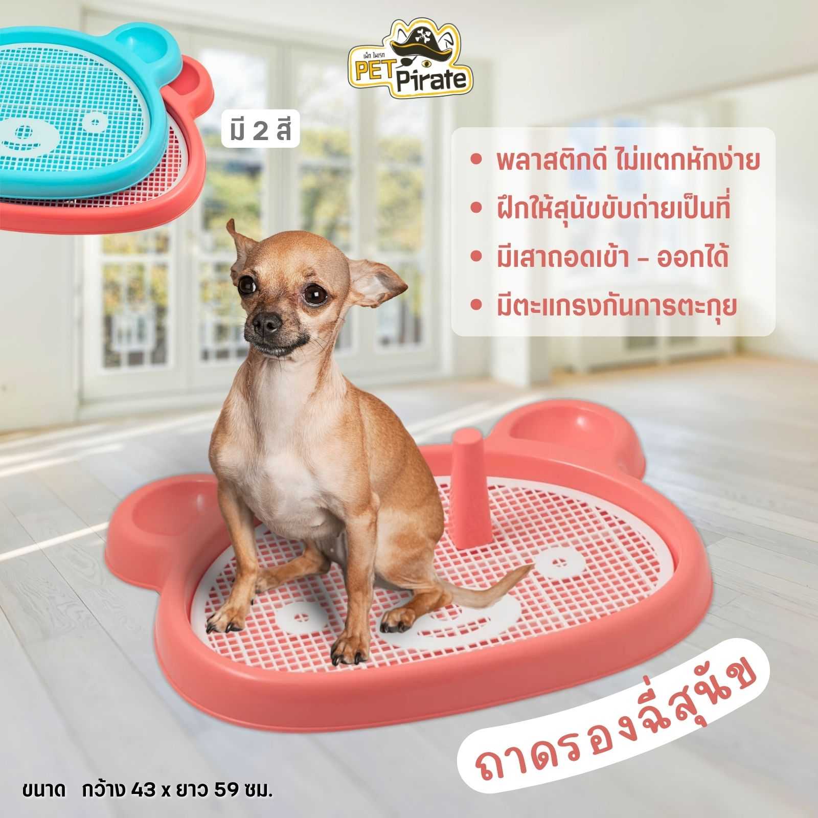 ถาดรองฉี่สำหรับใช้ฝึกให้สุนัขขับถ่าย รูปหน้าหมี มีเสาถอดเข้าออกได้สำหรับสุนัขตัวผู้