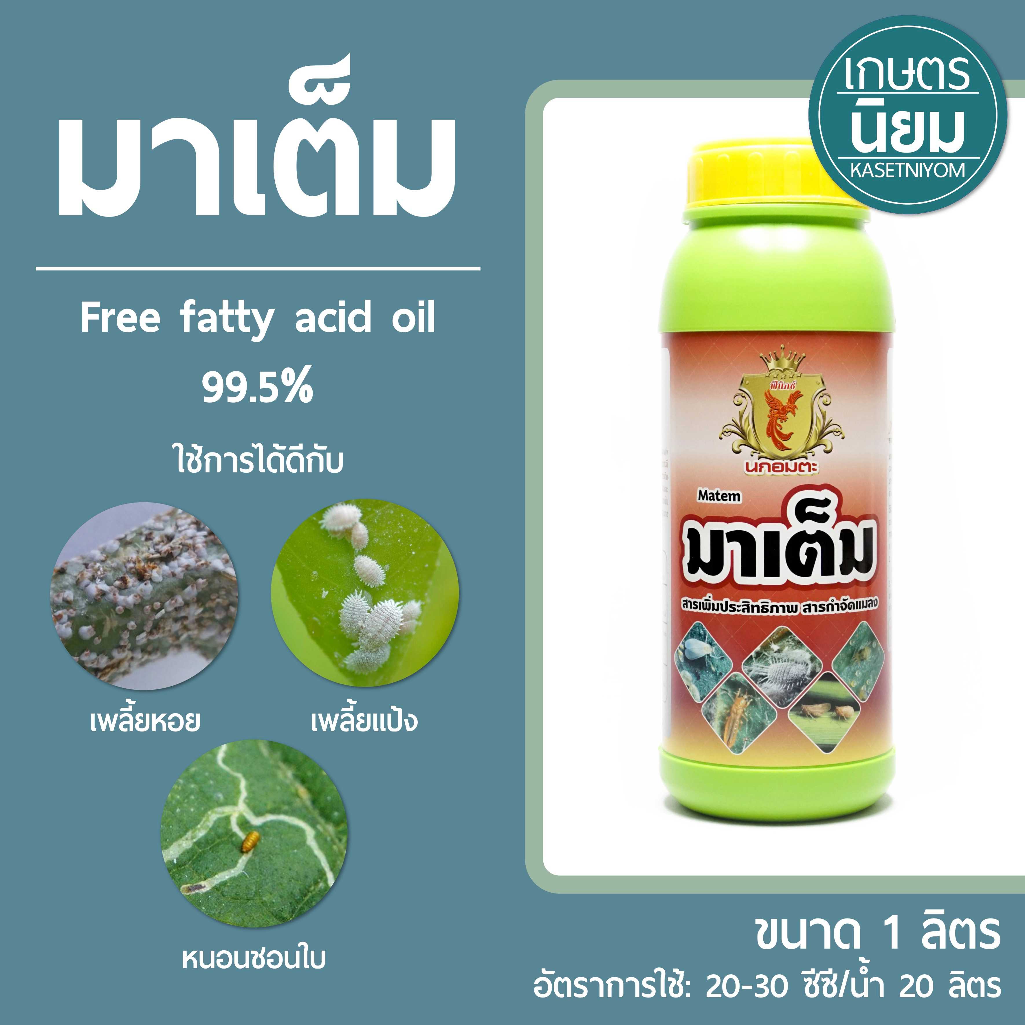 มาเต็ม (Free fatty acid oil 99.5%) 1 ลิตร
