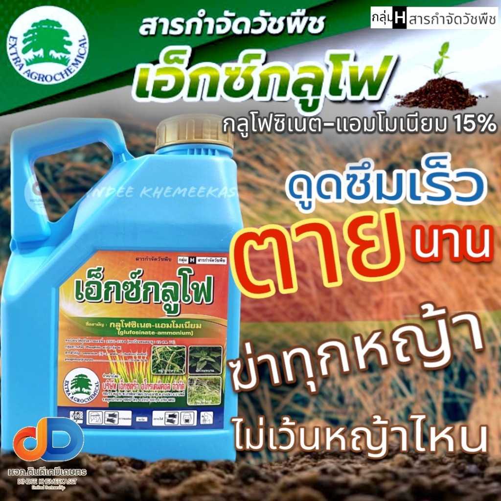 เอ็กซ์กลูโฟ 4 ลิตร (กลูโฟซิเนต 15% สูตรทนฝน ) ใช้กำจัดวัชพืชประเภทใบแคบ