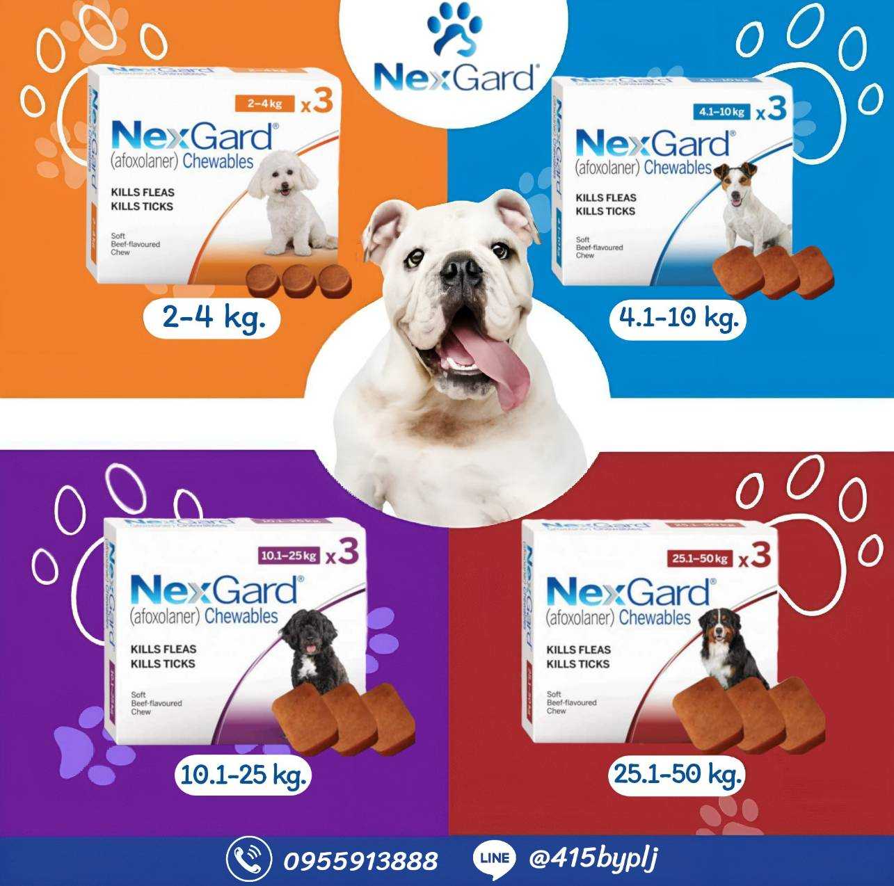 Nexgard ธรรมดา (แบ่งขาย 1 เม็ด / ขายยกกล่อง)