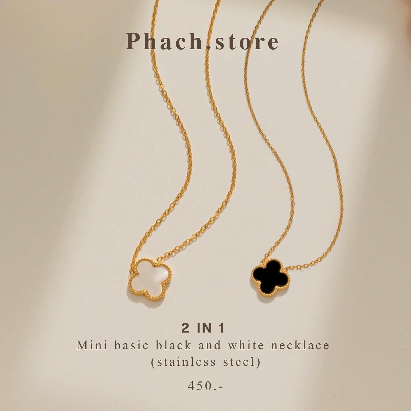  2 IN 1 Mini basic black and white necklace  (Stainless steel necklace) 