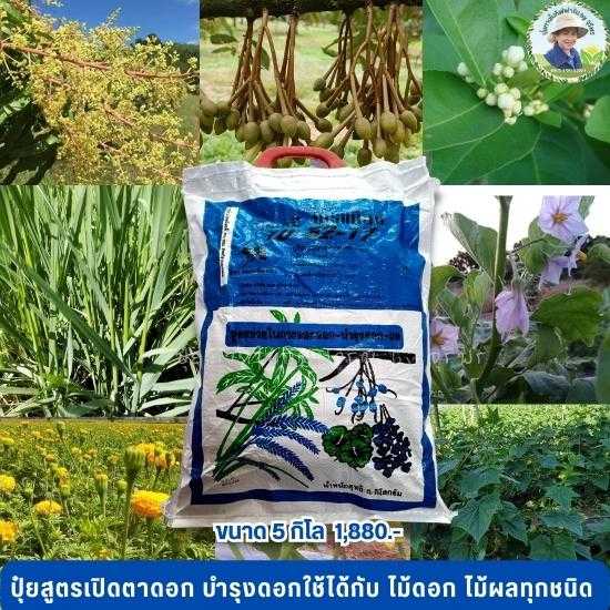ปุ๋ยโกรแม็กซ์ สูตร 10-52-17  สูตรฟอสฟอรัส หยุดการเจริญเติบโตทางลำต้นและใบเพื่อพัฒนาการ สร้างดอก