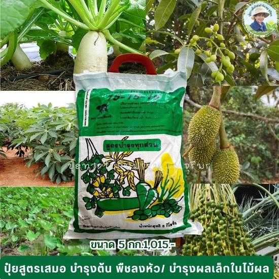 โกรแม็กซ์ สูตร 15-15-15 สูตรเสมอ พัฒนาทุกส่วน  เหมาะกับพืชลงหัวทุกชนิดในระยะบำรุงต้น/บำรุงเล็กไม้ผล 