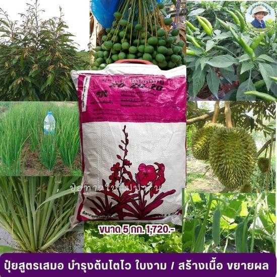 ปุ๋ยโกรแม็กซ์ สูตร 20-20-20  สูตรเสมอ บำรุงทุกส่วน พัฒนาช่อดอกและพัฒนาต้น โตไว ใบงาม
