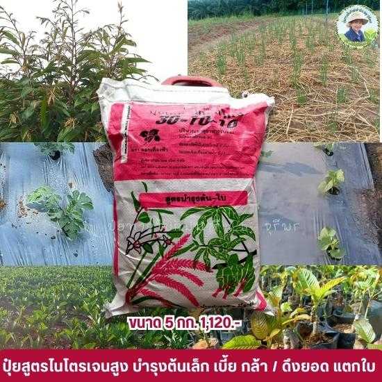 ปุ๋ยโกรแม็กซ์ สูตร 30-10-10 กิฟฟารีน   สูตรไนโตรเจนสูง แตกยอด แตกใบ