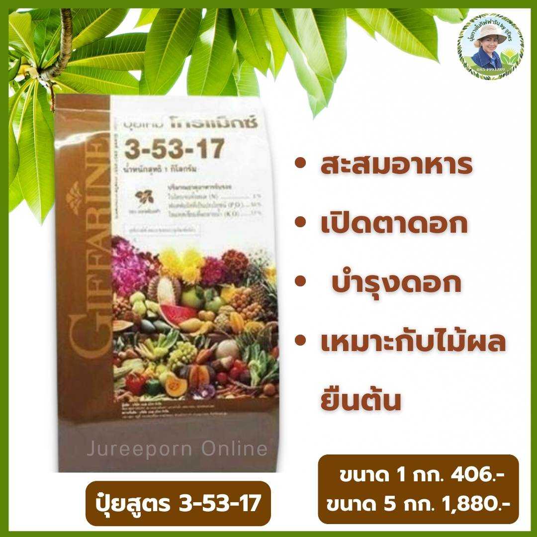 ปุ๋ยโกรแมกซ์ สูตร 3-53-17 พัฒนาการสร้างดอก เปิดตาดอก บำรุงดอก เหมาะกับฤดูฝน