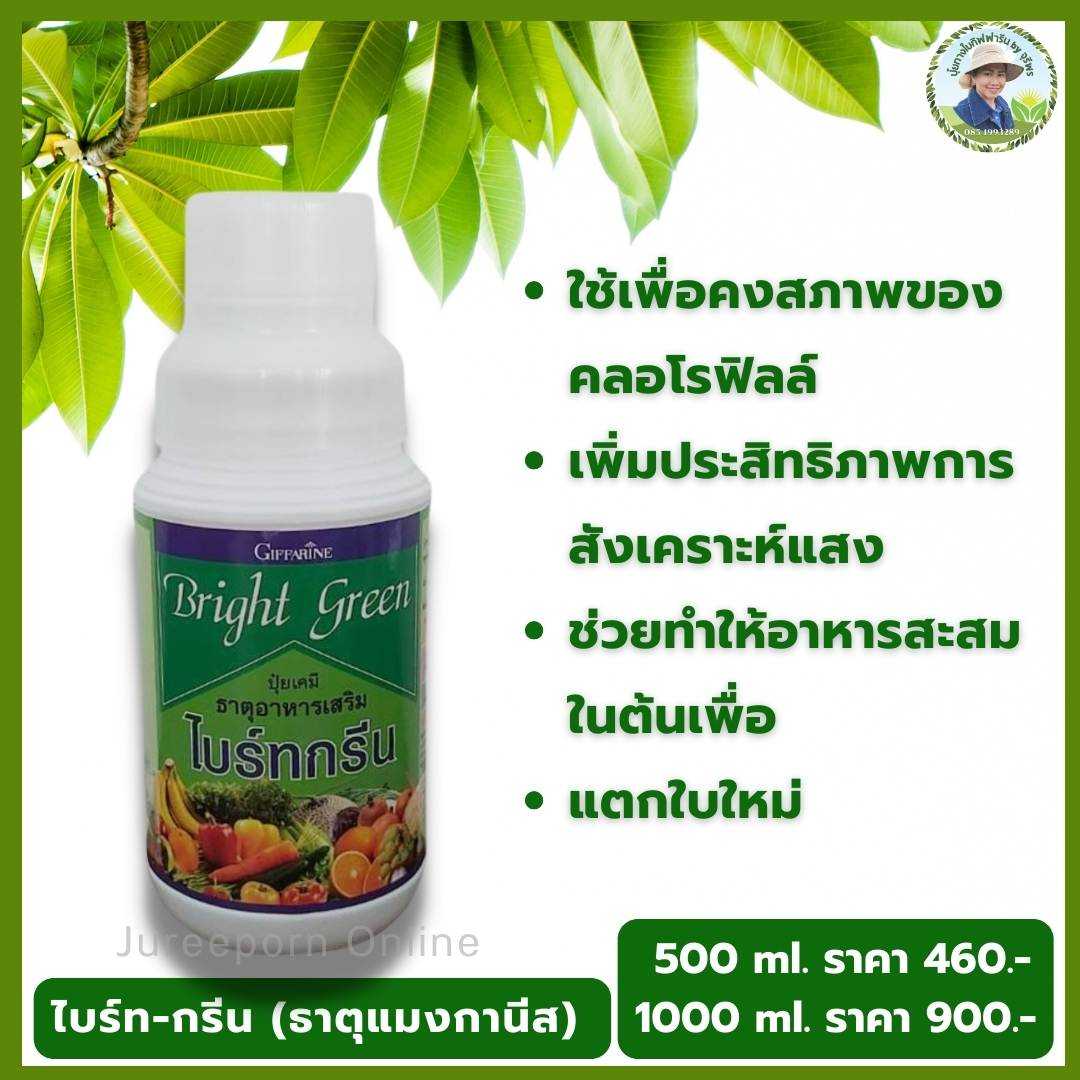 ไบรท์-กรีน กิฟฟารีน Bright Green แมงกานีสคีเลท ช่วยเรื่องการสังเคราะห์แสงของพืช
