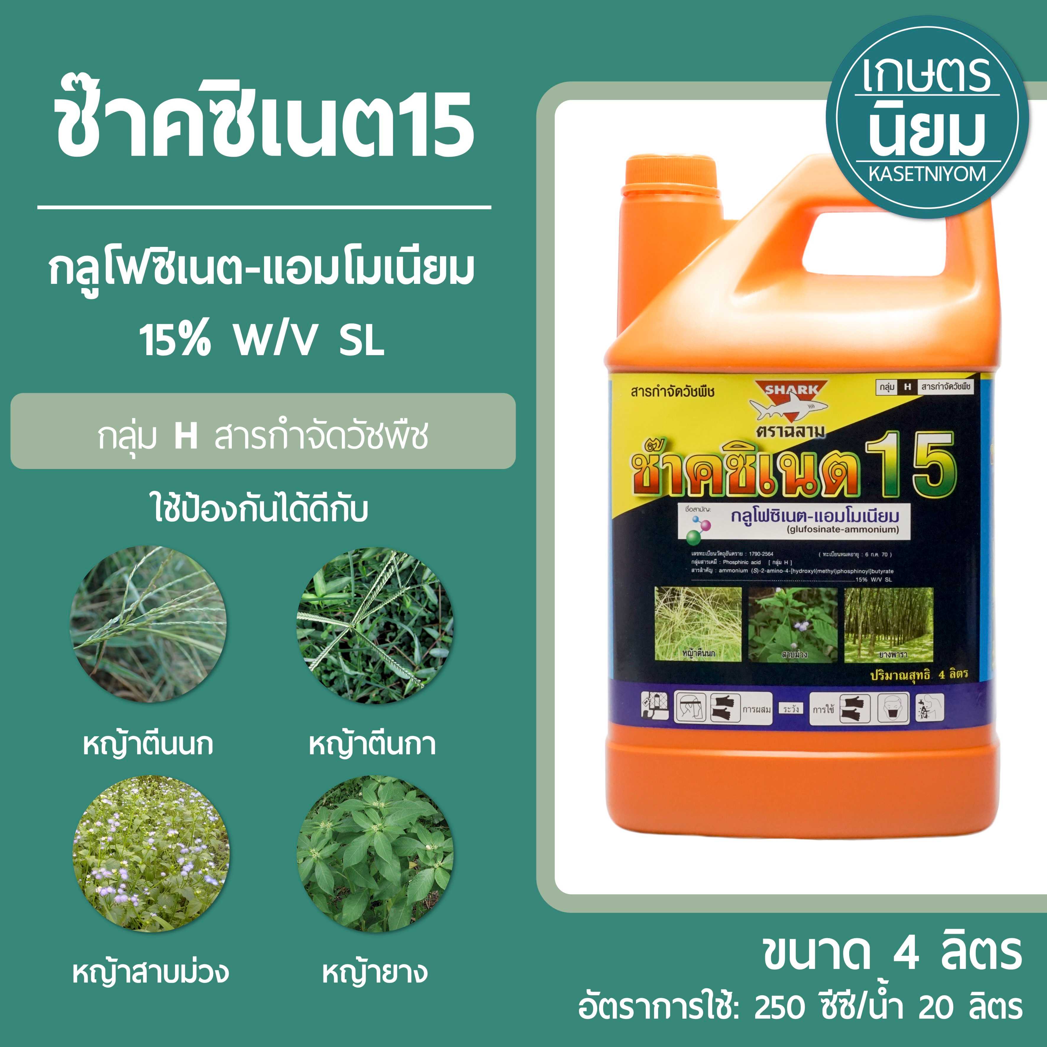 ช๊าคซิเนต15 (กลูโฟซิเนต-แอมโมเนียม 15% W/V SL) 4 ลิตร