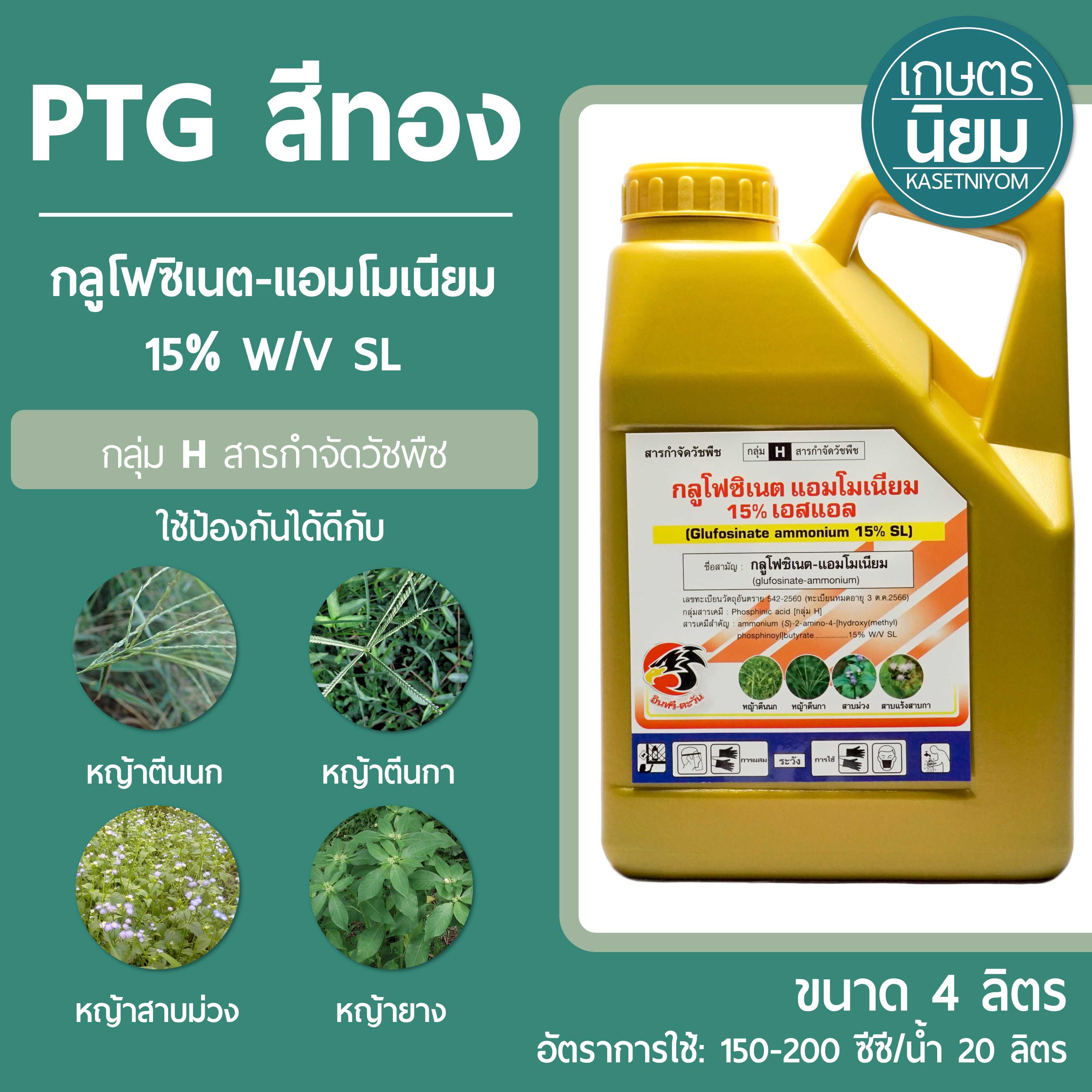 กลูโฟซิเนต-แอมโมเนียม PTG สีทอง (กลูโฟซิเนต-แอมโมเนียม 15% W/V SL) 4 ลิตร