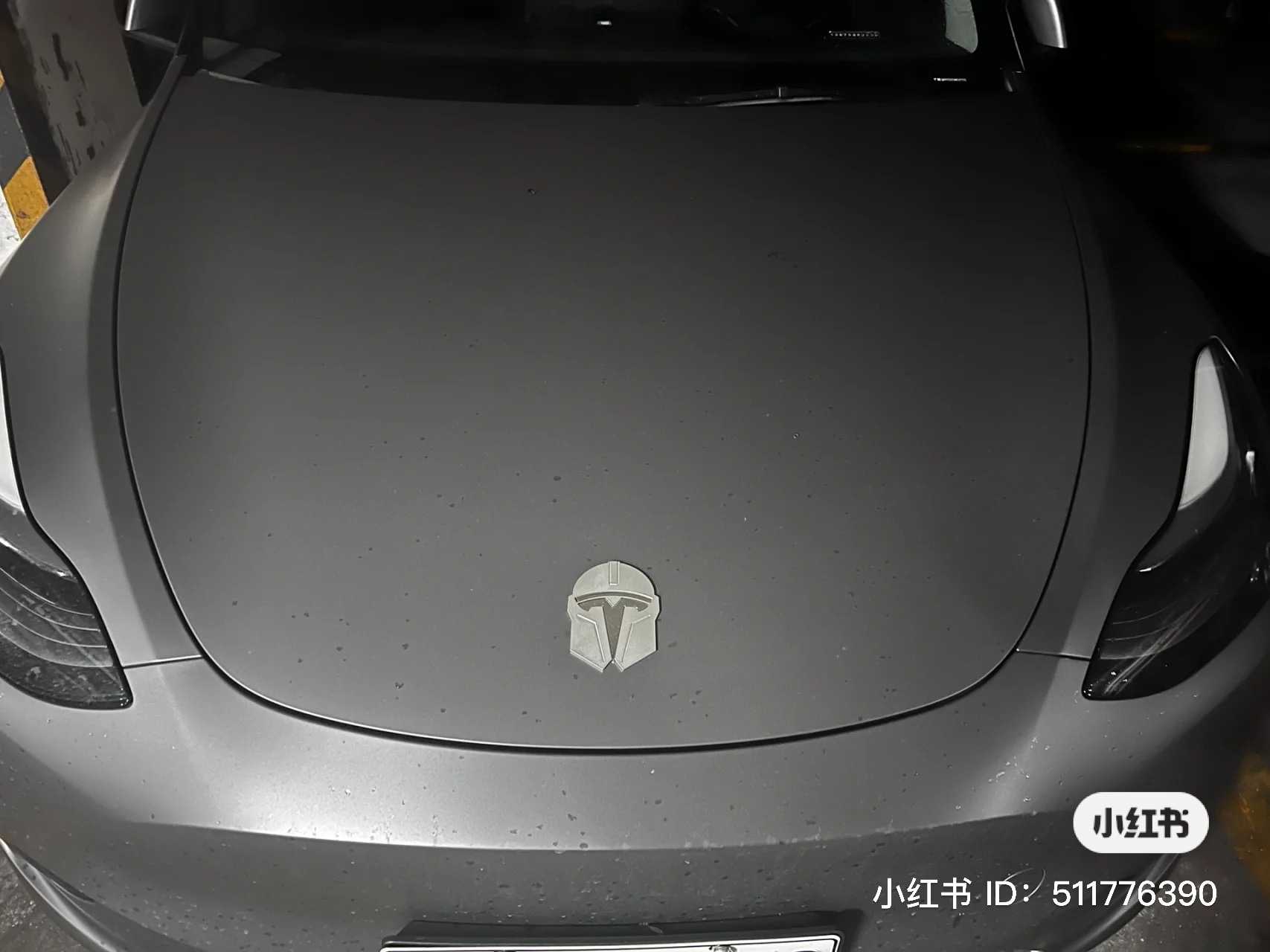 Mandalorian Logo Tesla