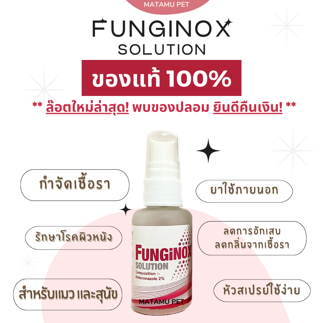 Funginox Solution (ฟังจิน็อกซ์) spray 25 ml กำจัดเชื้อราสุนัข แมว สัตว์เลี้ยงขนาด 25ml. ของแท้ 100%