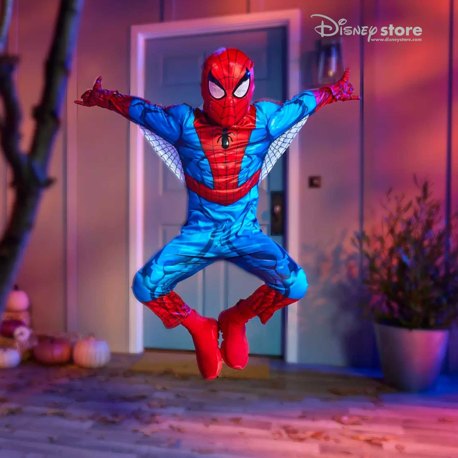 Disney Store Spider-Man Costume