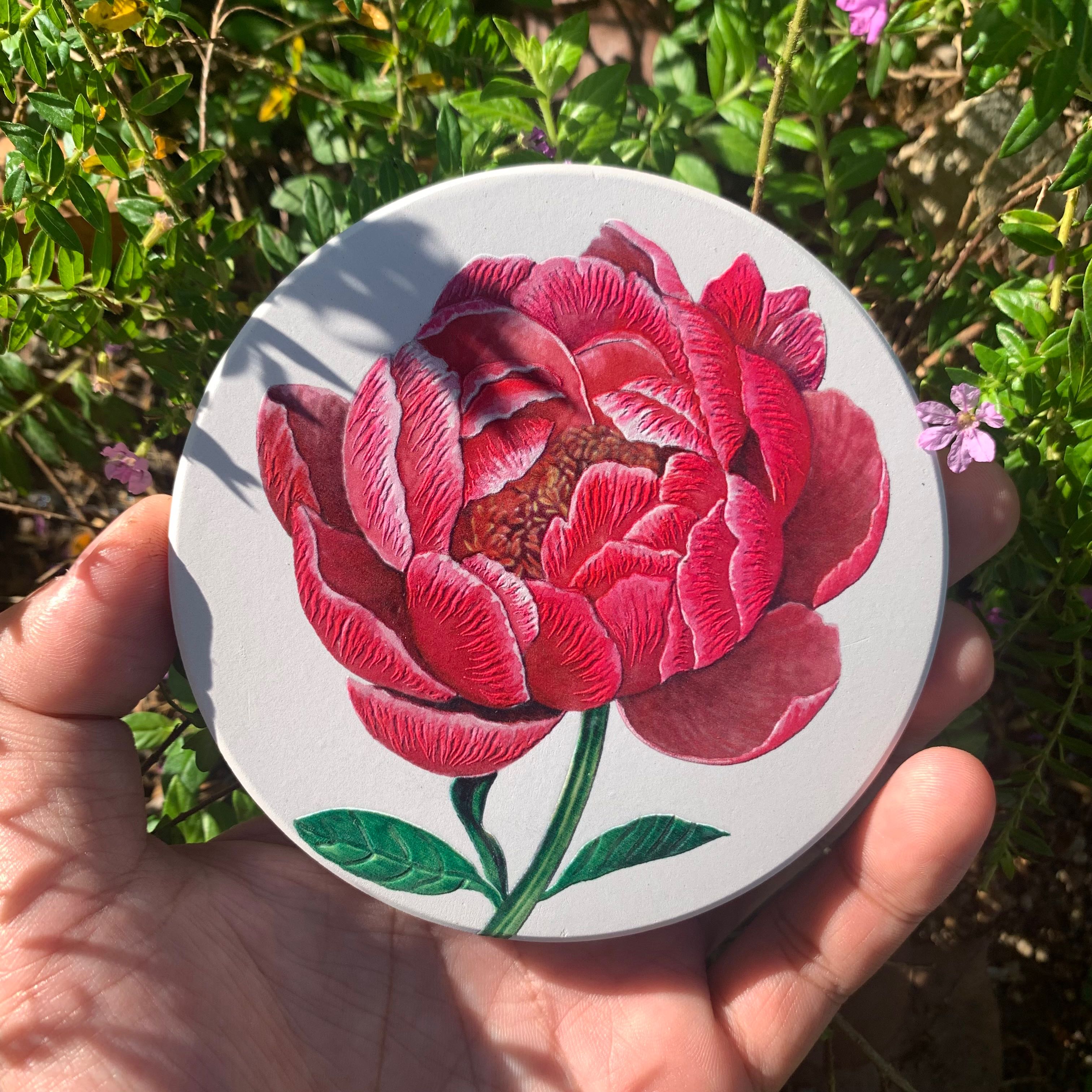 Absorbent Coaster 11