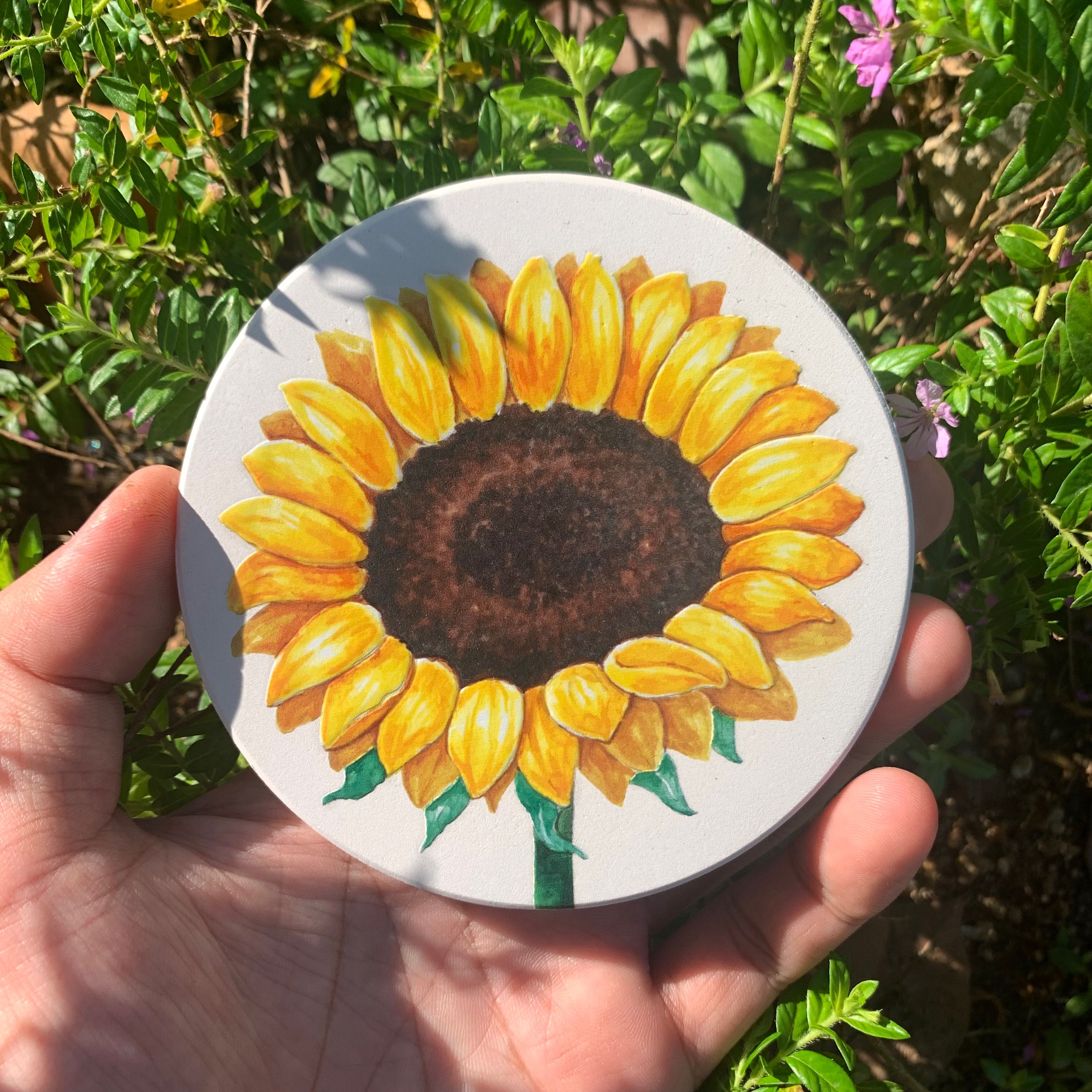 Absorbent Coaster 12