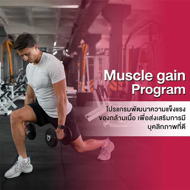 Muscle gain Program