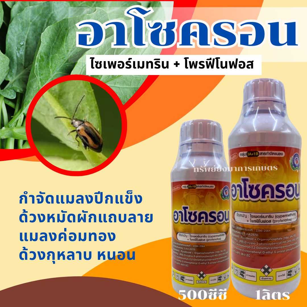 อาโซครอน 50CC/1ลิตร ไซเพอร์เมทริน+โพรฟีโนฟอส กำจัดแมลงปีกแข็ง  ด้วงหมัดผักแถบลายแมลงค่อมทอง