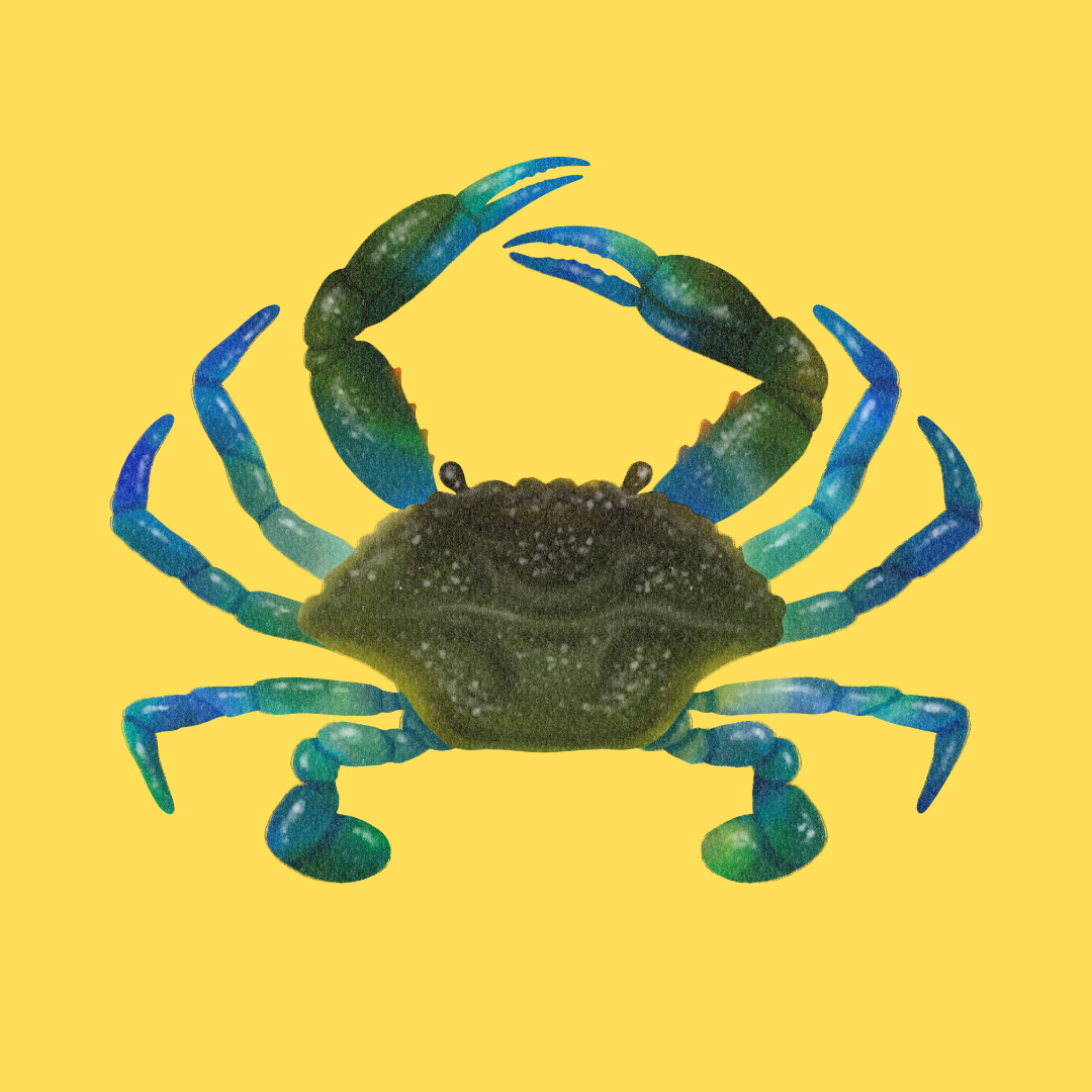 An Image