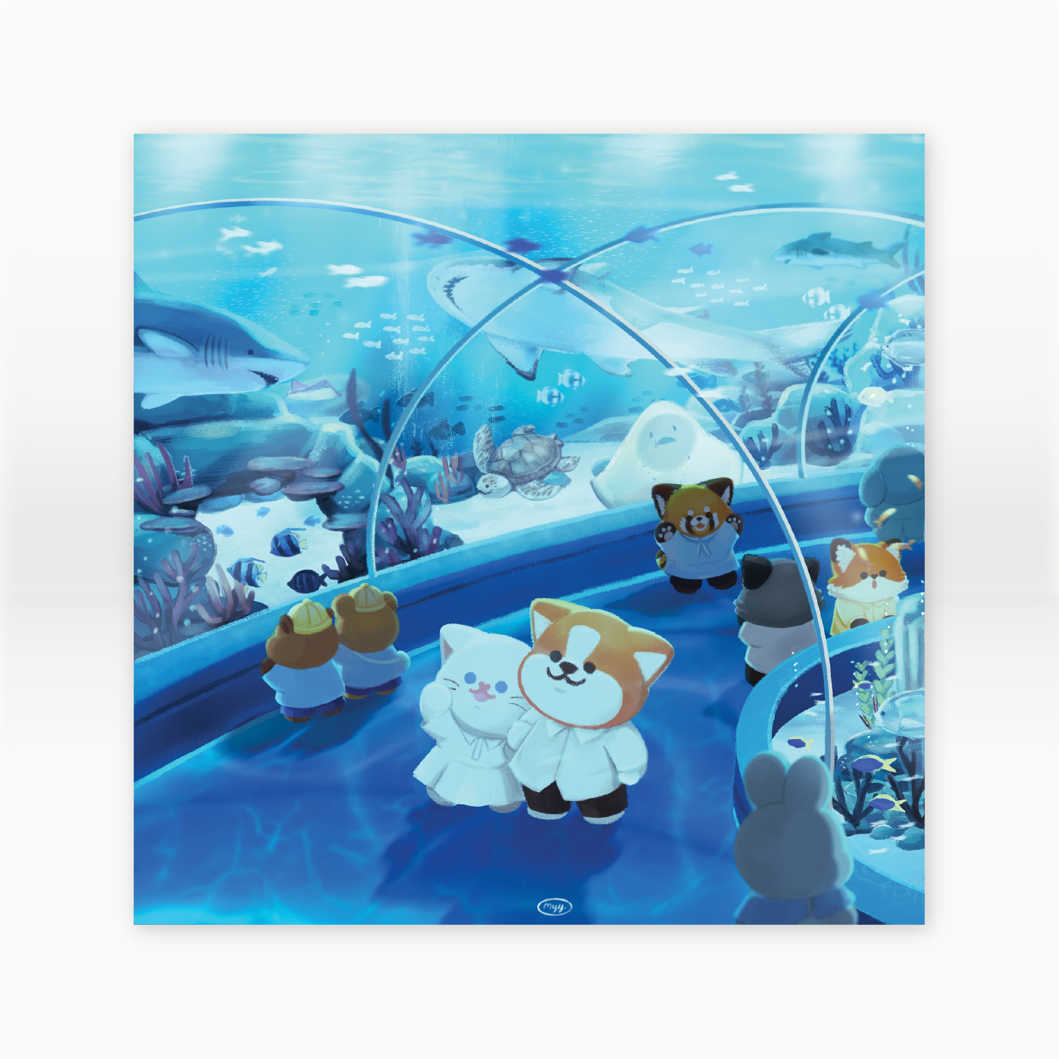 Postcard 5x5 inch | aquarium