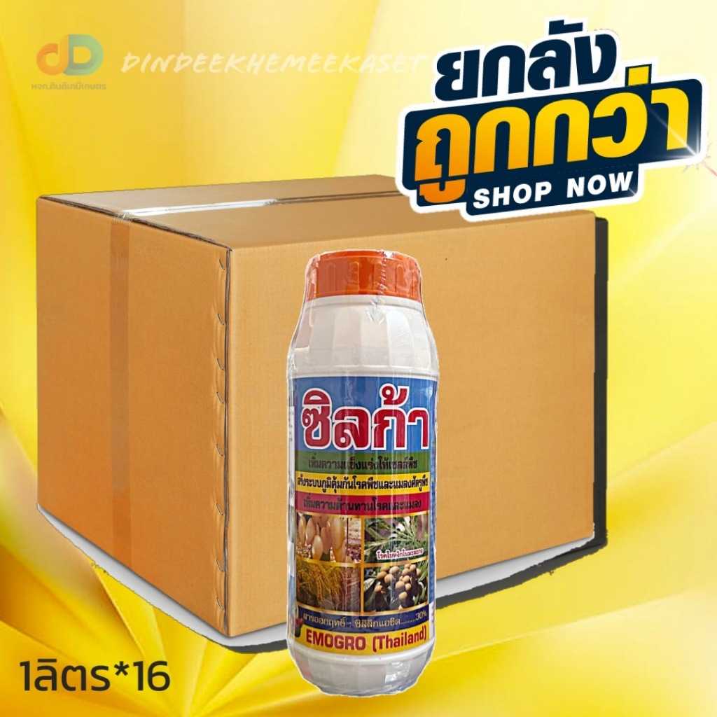 (ยกลัง 16 ขวด) ซิลก้า ขนาด 1 ลิตร สารซิลิก้า หรือ ซิลกอน ช่วยให้ผนังเซลล์มีความแข็งแรง