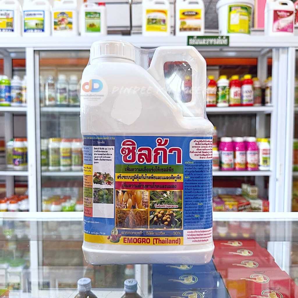ซิลก้า ขนาด 5ลิตร ช่วยให้ผนังเซลล์มีความแข็งแรง จึงช่วยสร้างภมูิต้านทานแมลง โรค