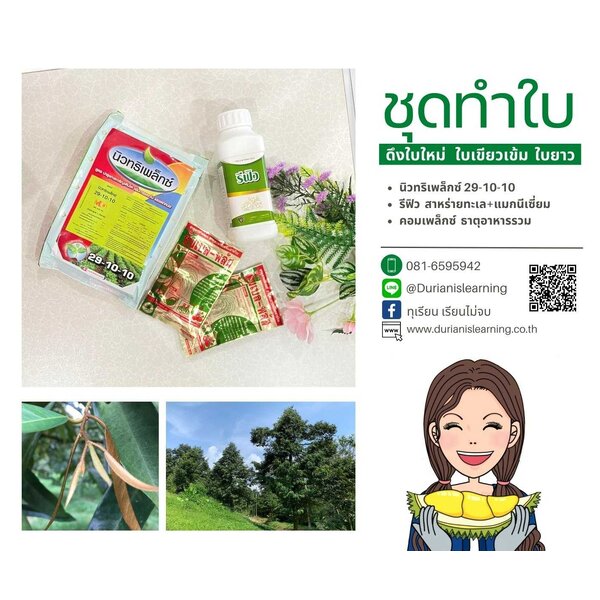 ชุดทำใบ4 ยอดมาไว ใบเขียวเข้มสมบูรณ์ ด้วยสาหร่ายทะเล และธาตุรองเสริมต่าง