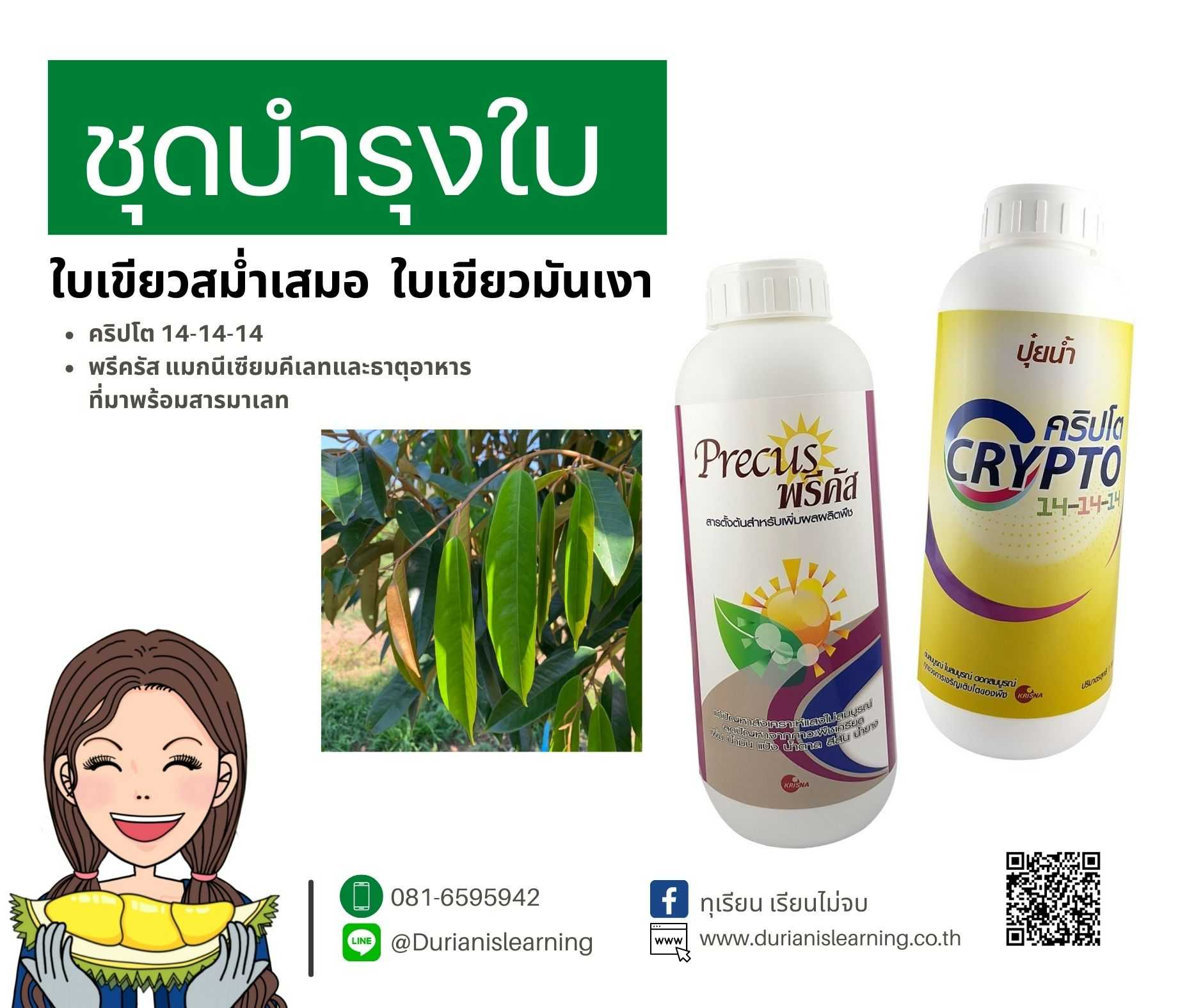 ชุดบำรุงใบ ใบเขียวมันเงาด้วย 14-14-14ปุ๋ยน้ำผสมอะมิโนและพรีคัสแมกนีเซียมคีเลตที่มาพร้อมสารมาเลท
