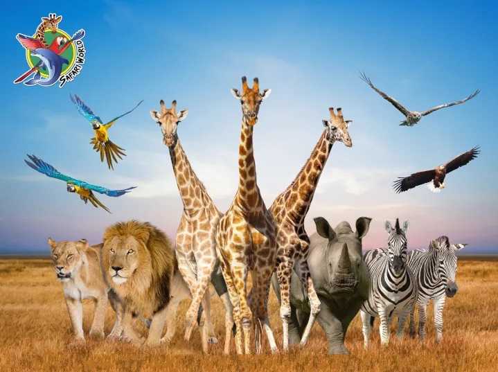 บัตร Safari World รายวัน