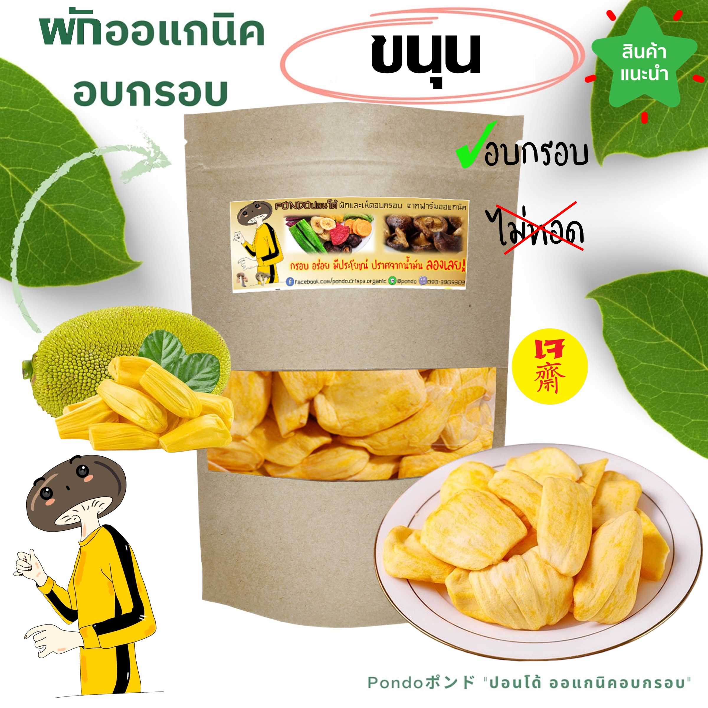 ขนุนฟรีซดรายอบกรอบ PONDO ไม่ใช้น้ำมัน กรอบอร่อย ไม่หืน ไม่อ้วน ผักอบกรอบ ผลไม้อบกรอบ