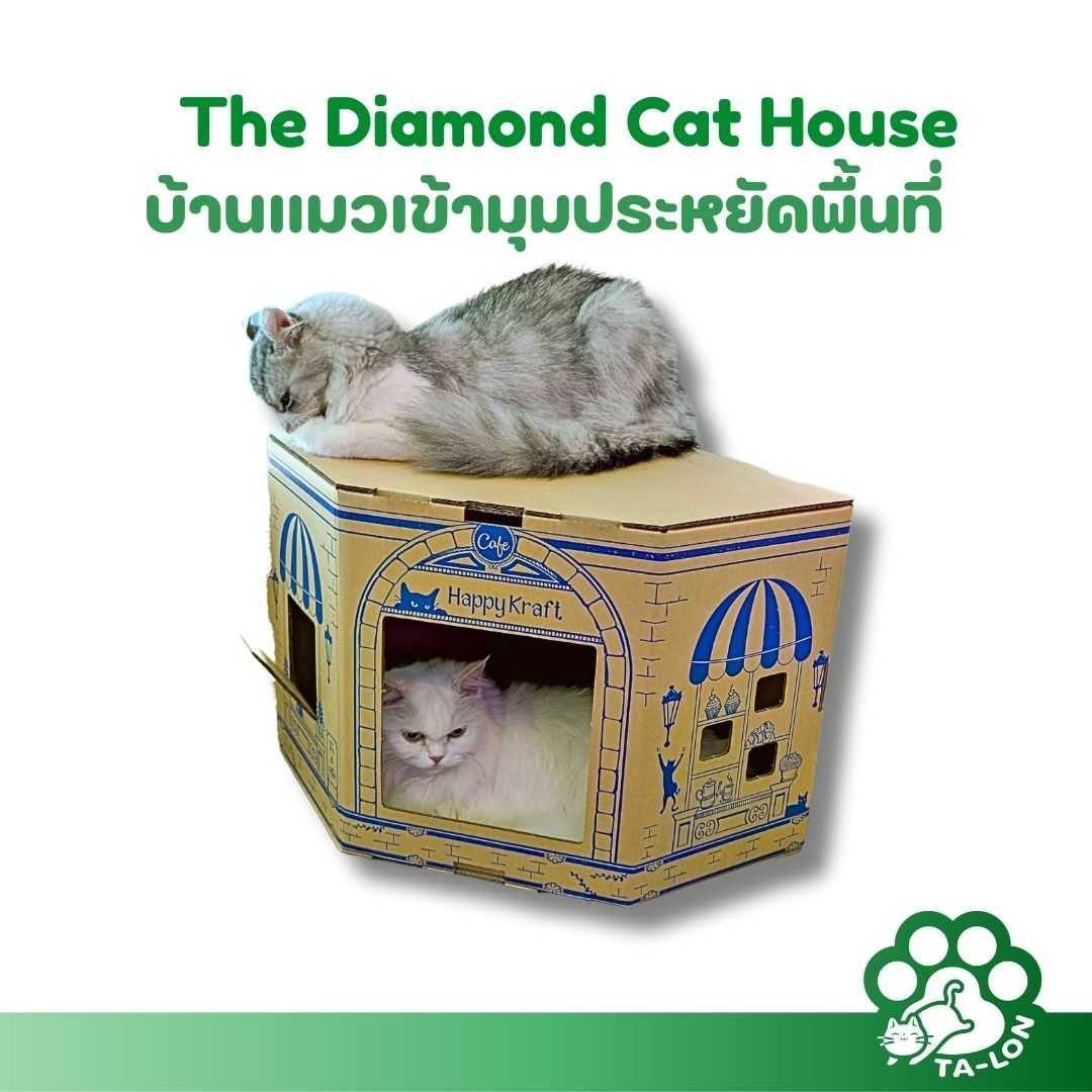 The Diamond Cat House (บ้านแมวเข้ามุม DIY ประหยัดพื้นที่ รักษ์โลก)