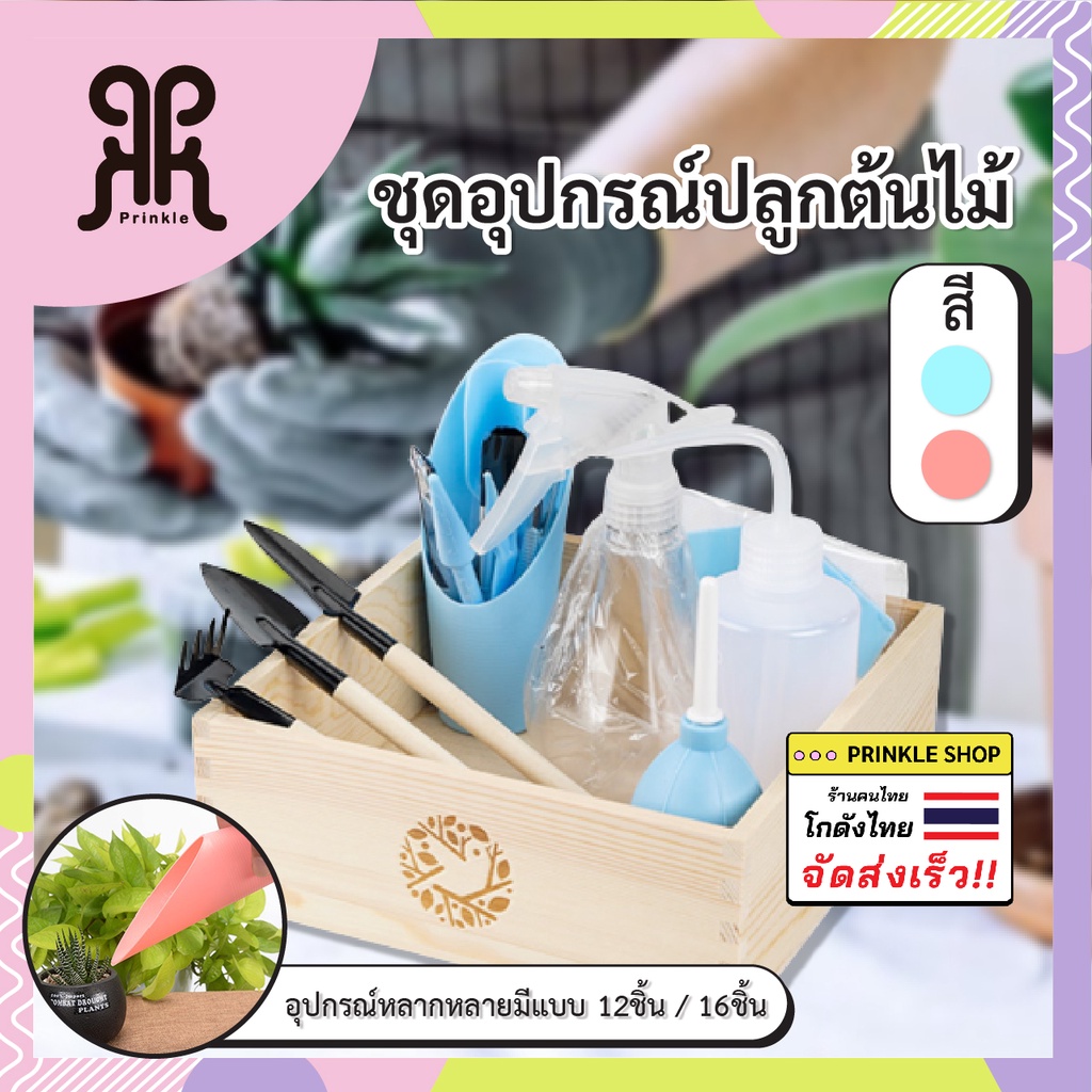 อุปกรณ์ปลูกต้นไม้ Set 12ชิ้น/16ชิ้น สำหรับปลูกแคคตัส ไม้อวบน้ำ