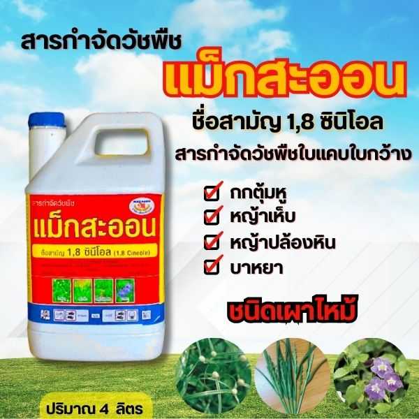 แม็กสะออน 1,8 ซินีโอล 4 ลิตร สารกำจัดวัชพืชใบแคบใบกว้าง กกตุ้มหู หญ้าเห็บ หญ้าปล้องหิน บาหยา
