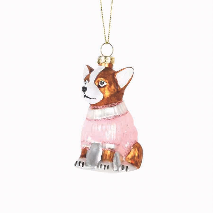 chihuahua pink sweater