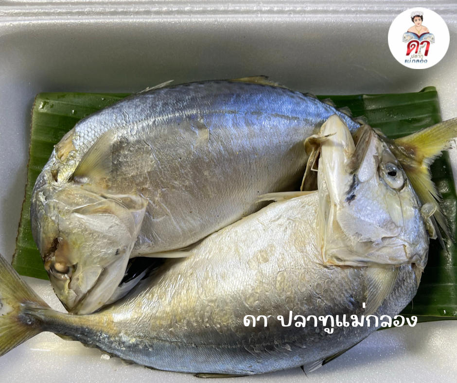 ปลาทู ไซส์ 2 ตัว 100