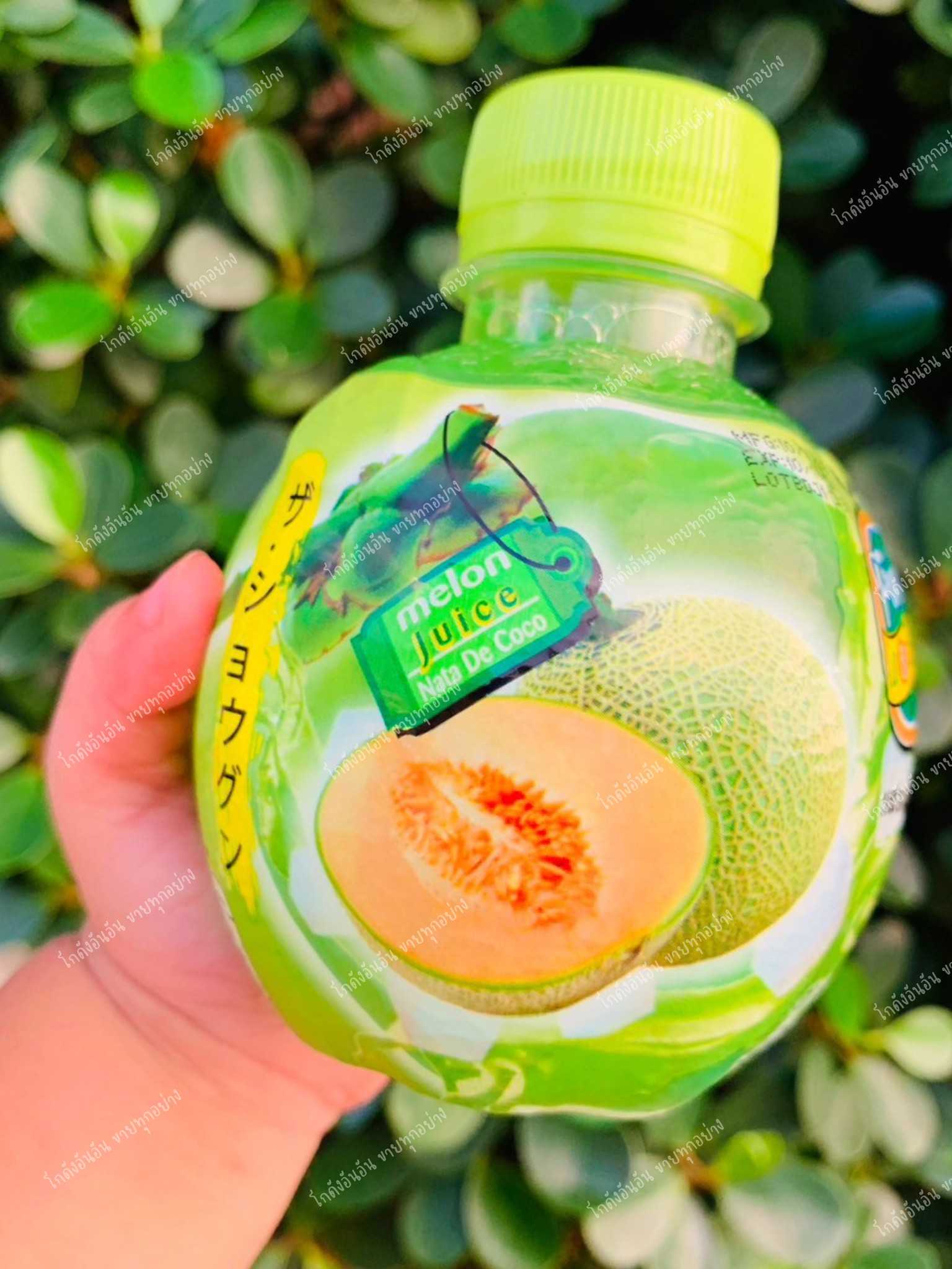 น้ำแคนตาลูป แพ็คละ 6 ขวด น้ำผลไม้เดอะโชกุน ผสมวุ้นมะพร้าว ขนาด 220 ml น้ำผลไม้ 25%