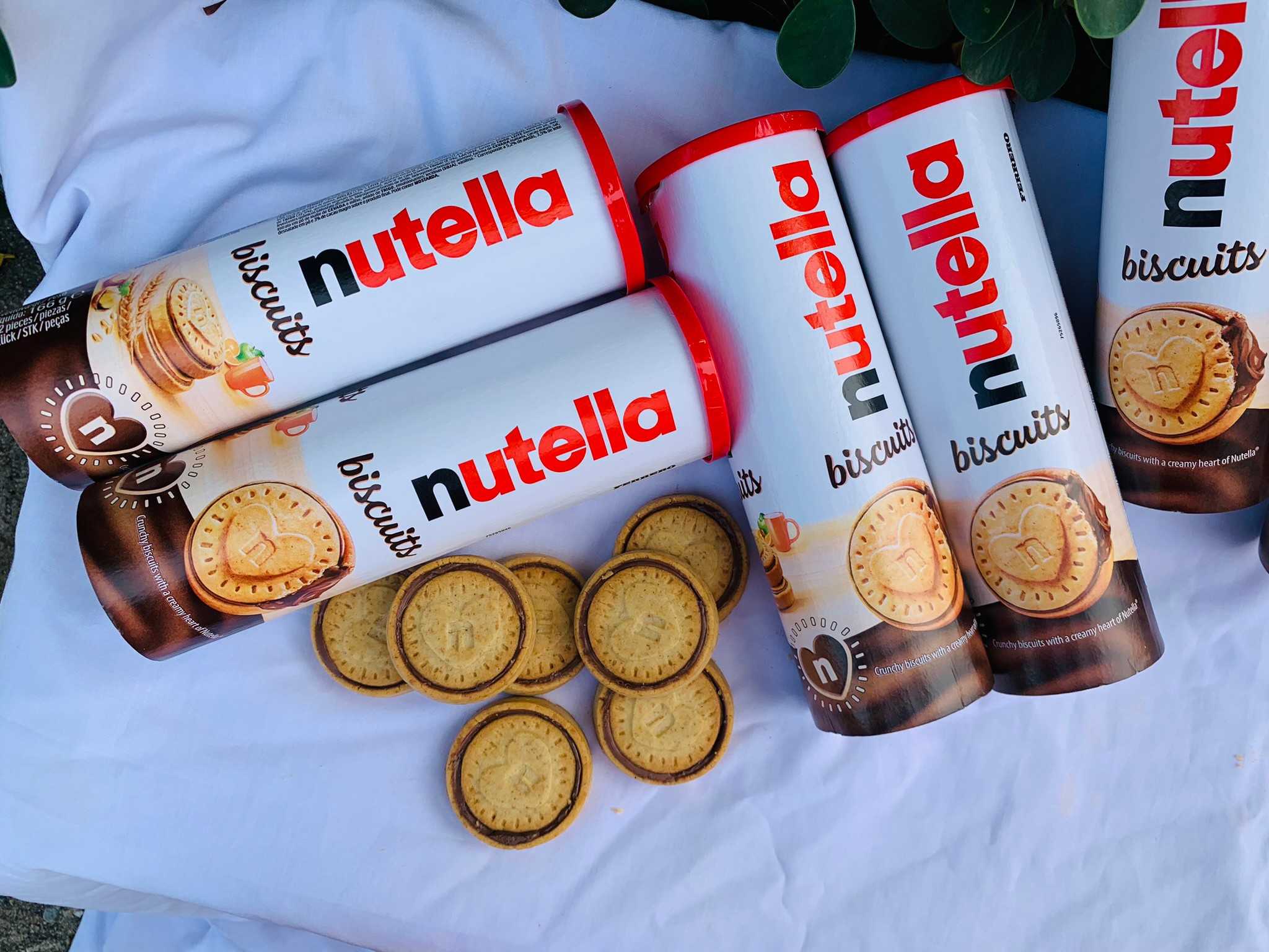 Nutella biscuits  บิสกิตเนื้อแน่นสอดไส้ช็อคโกแลต ผสมเฮเซลนัทจากแบรนด์นูเทลล่า