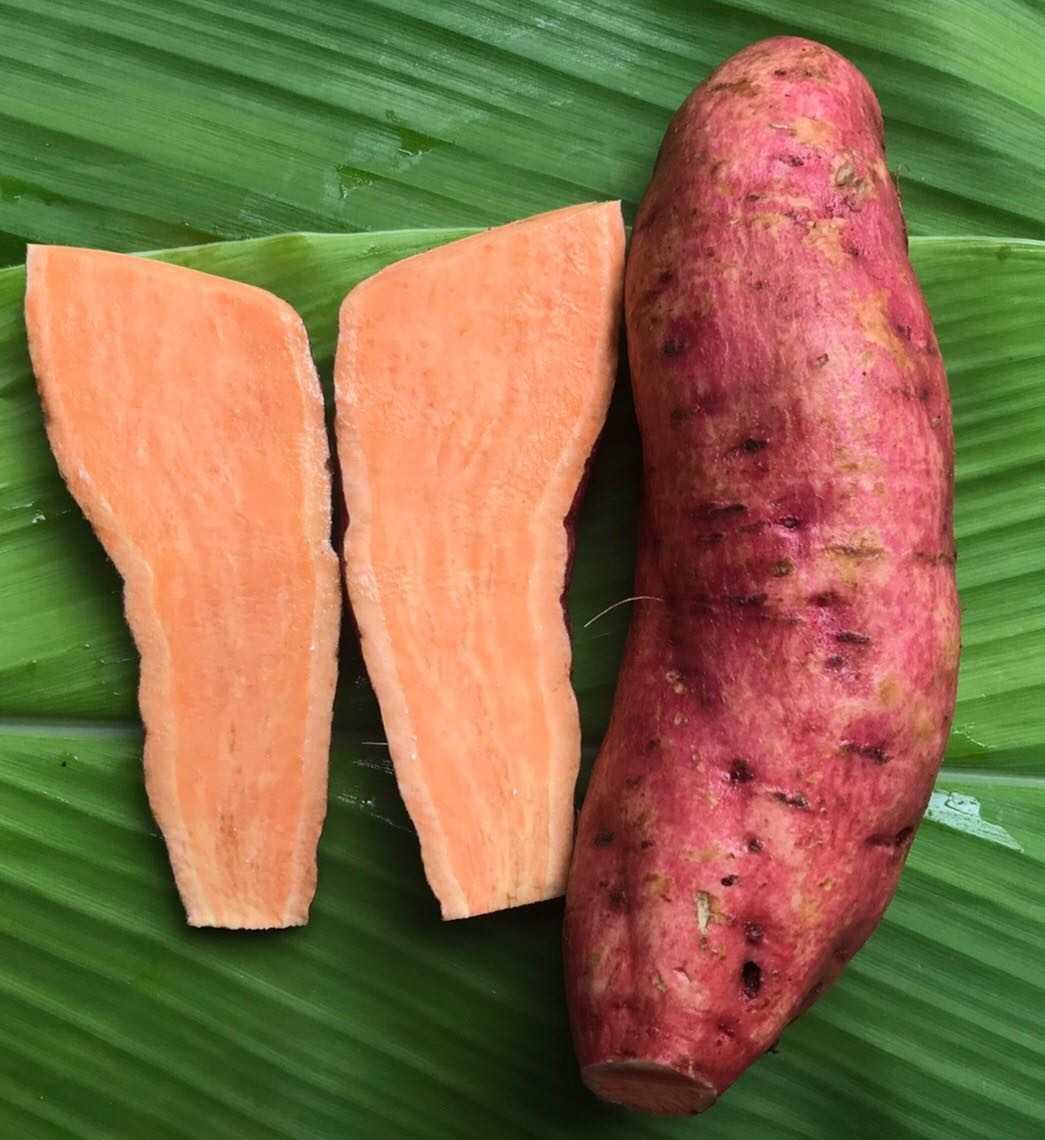มันหวานญี่ปุ่นอินทรีย์สีส้ม แพค 1000 กรัม